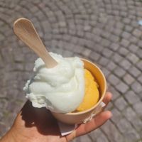 Lime and apricot scoops at Captain'ice in Saint-malo