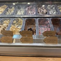   at Udderlicious in North London