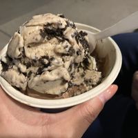   at New City Microcreamery in Cambridge