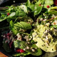 Bowl at Native. in Ulladulla