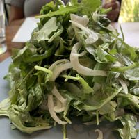 Salad  at PizZando in Healdsburg