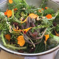 Wild herbs salad, with seeds and flowers  at Irma in Rome