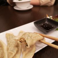Vegan grilled dumplings at Tiger Club Vegan Sushi in Berlin