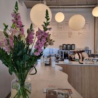 Counter at Tea Stories in Eindhoven