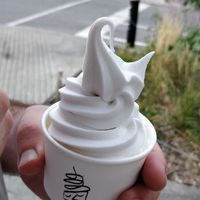 Vanilla at Swirl in Montreal