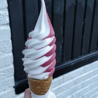 Vanilla and blueberry at Swirl in Montreal