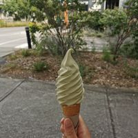 Jasmine tea ice cream at Swirl in Montreal