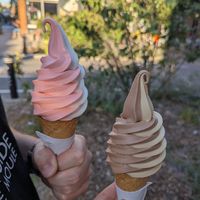Strawberry and vanilla, chocolate and coffee ice cream cones at Swirl in Montreal