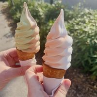   at Swirl in Montreal