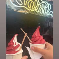 Crème glacée vegan vanille et sorbet à la camerise du Québec at Swirl in Montreal