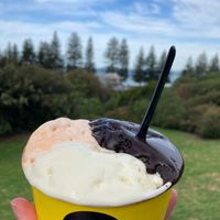 Mandarine, pineapple, and mud cake sorbet at Mubble in Sorrento
