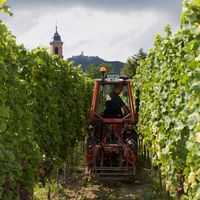  at Domaine Bléger in Orschwiller