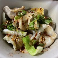Spicy dumplings (mixed flavors)!!  at Lái Xīn SùShí 來欣素食手工水餃 in Taipei
