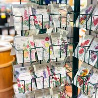 Non GMO organic seeds  at Earth Fare in Rock Hill