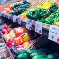 Cucumbers, zucchini, peppers, + more at Earth Fare in Rock Hill