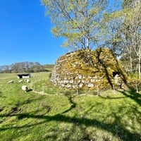  at The Field Shelter Guesthouse & Sanctuary in Blairgowrie