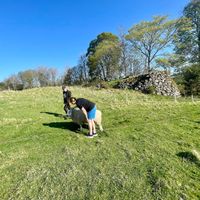  at The Field Shelter Guesthouse & Sanctuary in Blairgowrie