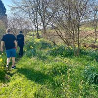  at The Field Shelter Guesthouse & Sanctuary in Blairgowrie