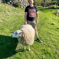  at The Field Shelter Guesthouse & Sanctuary in Blairgowrie