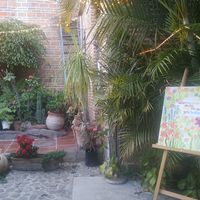  at Vegan Town in Ajijic