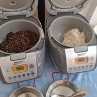  at Vegan Center Cafe in Vientiane