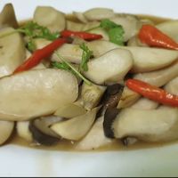 Stir fried mushroom  at Vegan Center Cafe in Vientiane