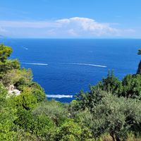  at Le Grottelle in Capri