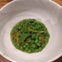  at Xavier Pellicer in Barcelona