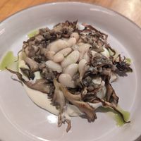  at Xavier Pellicer in Barcelona