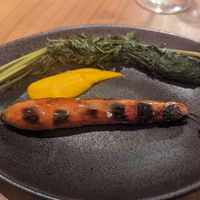  at Xavier Pellicer in Barcelona