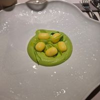  at Xavier Pellicer in Barcelona