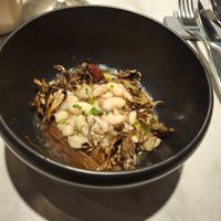  at Xavier Pellicer in Barcelona