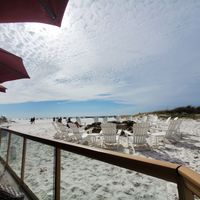  at Tate Island Grill in Clearwater Beach