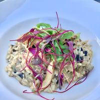Mushroom risotto  at Don Vegan in Quebec