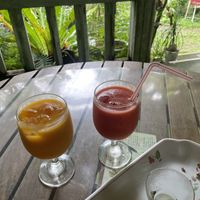   at Barabido Tourist Farm in Ishigaki