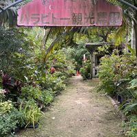   at Barabido Tourist Farm in Ishigaki