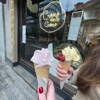 Delicious  at Creme de la Creme - Zmrzlinový Salon  in Prague