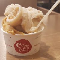 Small cup with vegan salted caramel and vegan cinnamon at Creme de la Creme - Zmrzlinový Salon  in Prague