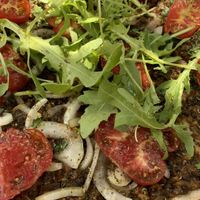 Delicious food! Vegan Lamahcun.   at Pernera in Patmos