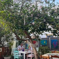  at Pernera in Patmos