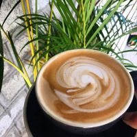 Coconut milk cappuccinos  at The BNKR - Maybe closed in Kalpitiya