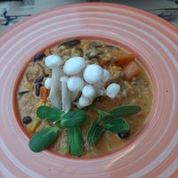 Orzotto at Pandora Greenbox in Split