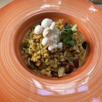 Magic mushrooms at Pandora Greenbox in Split