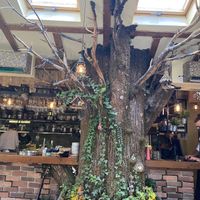 Restaurante  at Pandora Greenbox in Split