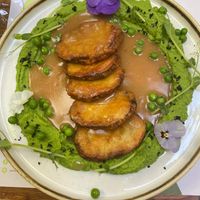  at Pandora Greenbox in Split