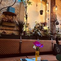  #Veganuary at Pandora Greenbox in Split