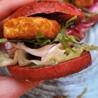 Slider at Pandora Greenbox in Split