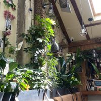   at Pandora Greenbox in Split