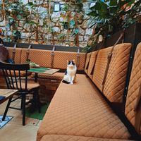  at Pandora Greenbox in Split