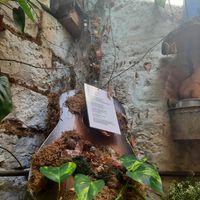  at Pandora Greenbox in Split